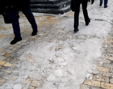 ������ �����: ��� ������ �������� ����������