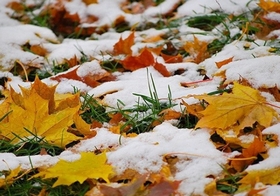 �������������� ������� Icemelt ����� �������